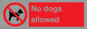 No dogs allowed